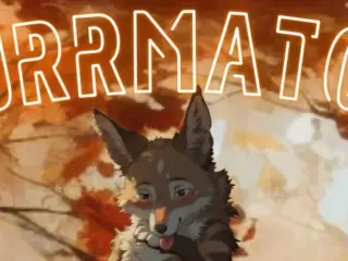 Furrmatch